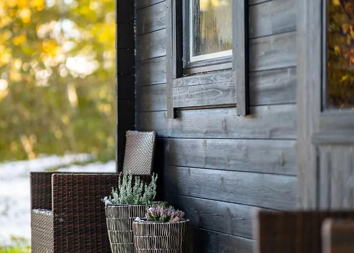 Kuusemaee Puhkemaja Raegavere